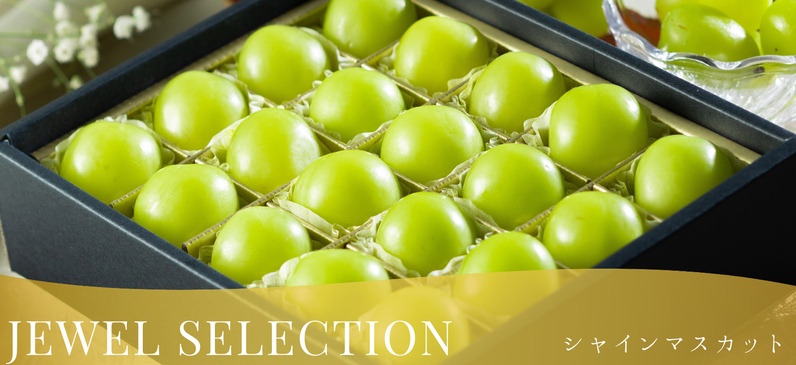 “岡山産ぶどうJEWELSELECTION”