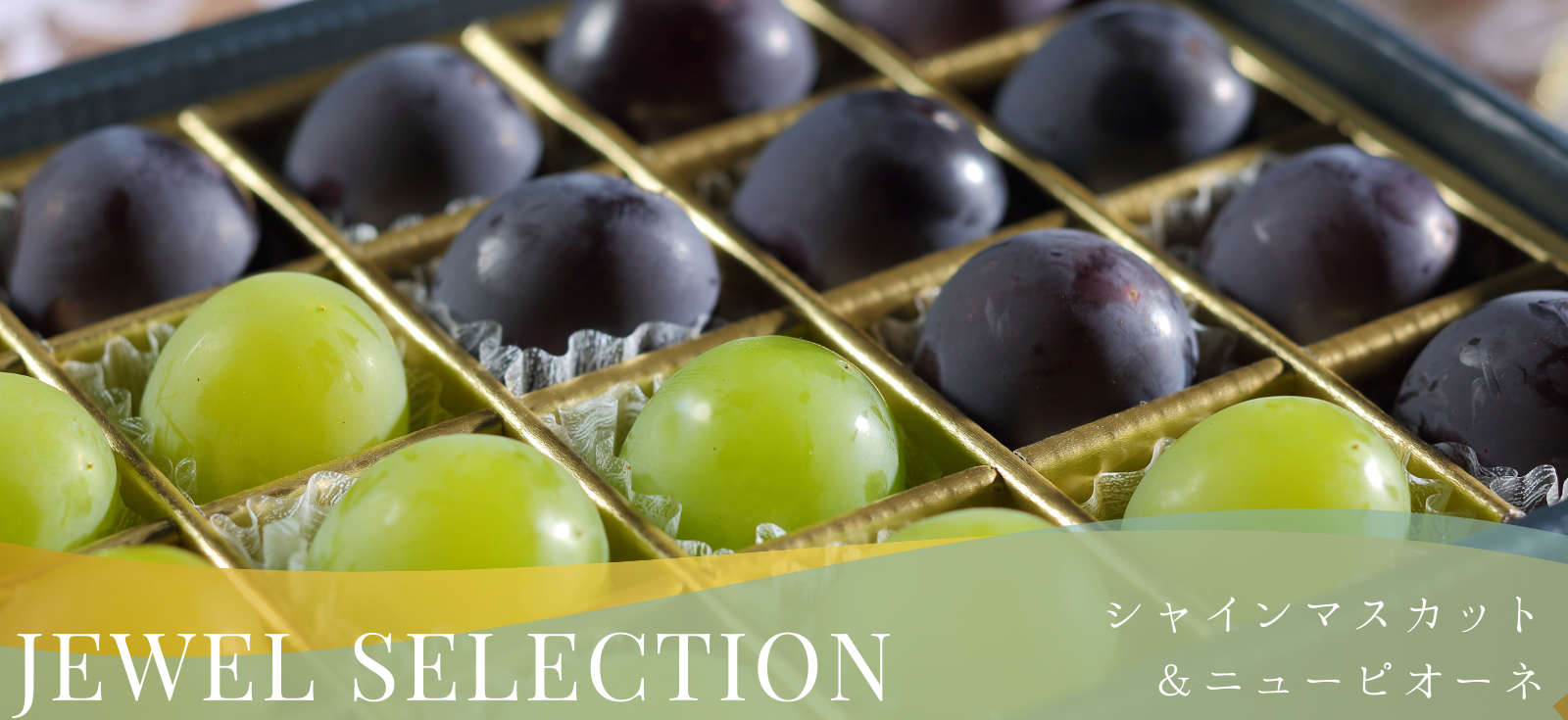 “岡山産ぶどうJEWELSELECTION”