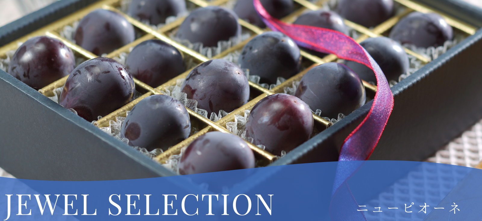 “岡山産ぶどうJEWELSELECTION”