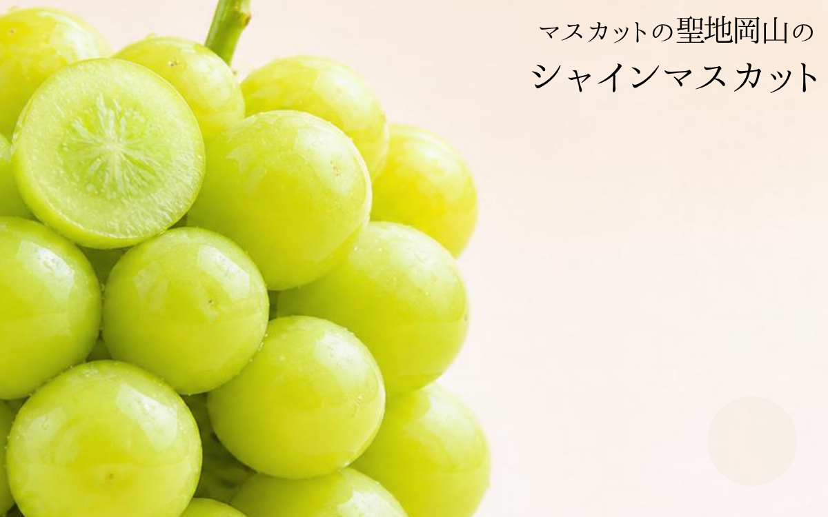 シャインマスカット贈答箱